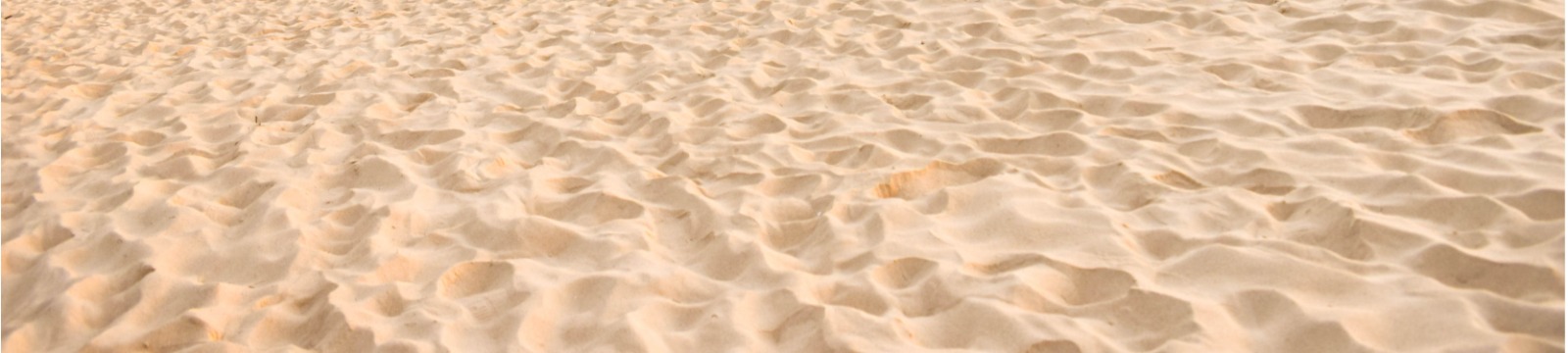 SubPage Header
sand